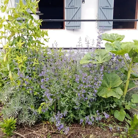 Apartmán Le Lys Dans La Vallee D *