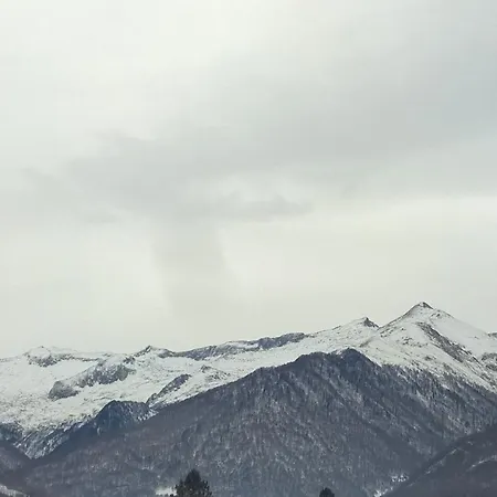Le Lys Dans La Vallee D Ustou